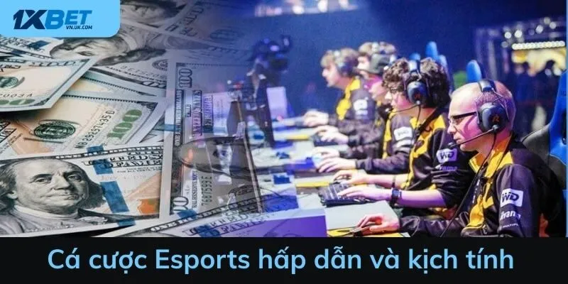 Cá cược Esports hấp dẫn và kịch tính